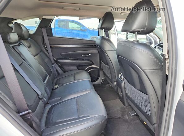 5NMJECAE8PH205643 2023 HYUNDAI TUCSON White Widok wnętrza z tyłu