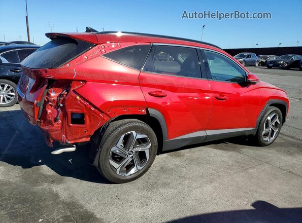 5NMJECAEXPH237638 2023 HYUNDAI TUCSON Red Задня права чверть