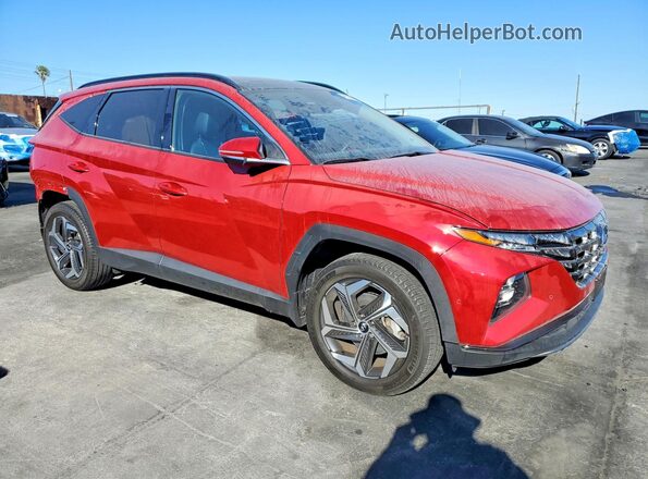 5NMJECAEXPH237638 2023 HYUNDAI TUCSON Red Передня права чверть