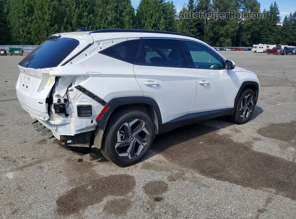 5NMJECDE0RH311437 2024 HYUNDAI TUCSON White Rear right