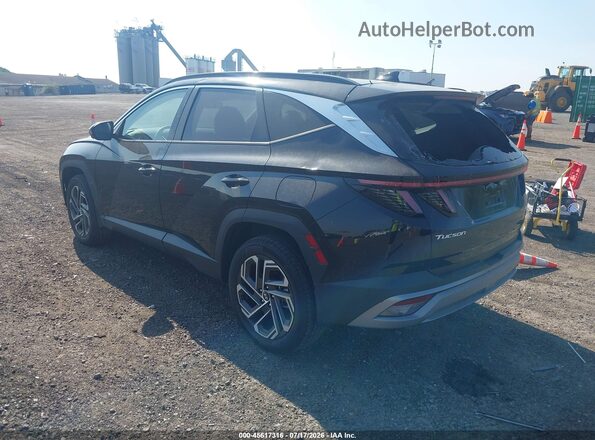 5NMJECDE1SH583677 2025 HYUNDAI TUCSON Black Задня ліва чверть