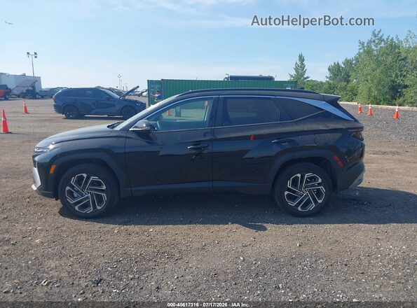 5NMJECDE1SH583677 2025 HYUNDAI TUCSON Black Панорамний вид салону 360°