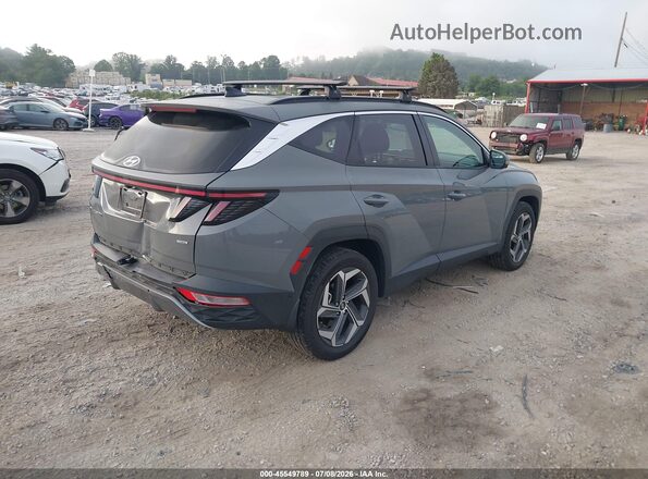 5NMJECDE6RH374137 2024 HYUNDAI TUCSON Gray Trasero derecho