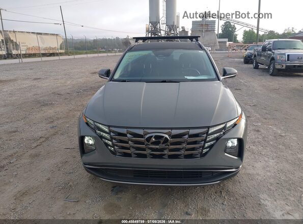 5NMJECDE6RH374137 2024 HYUNDAI TUCSON Gray Vista del cuadro de instrumentos