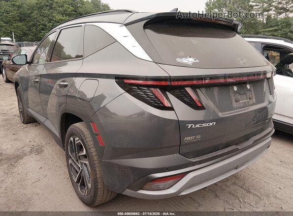 5NMJECDE6SH529193 2025 HYUNDAI TUCSON Серый Задняя левая четверть