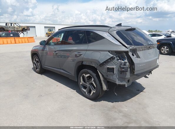 5NMJECDEXRH306651 2024 HYUNDAI TUCSON Gray Задня ліва чверть