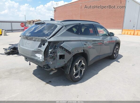 5NMJECDEXRH306651 2024 HYUNDAI TUCSON Gray Задня права чверть