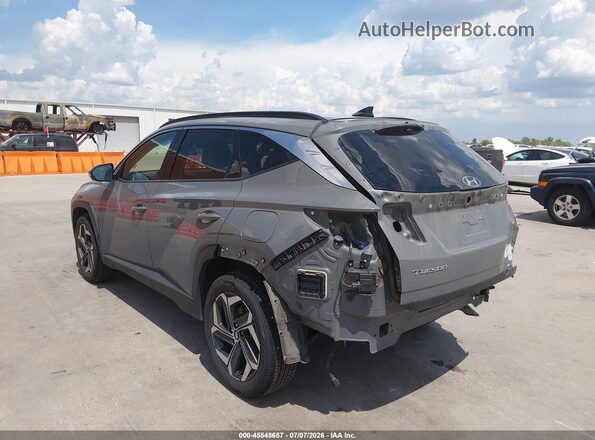 5NMJECDEXRH306651 2024 HYUNDAI TUCSON Gray 