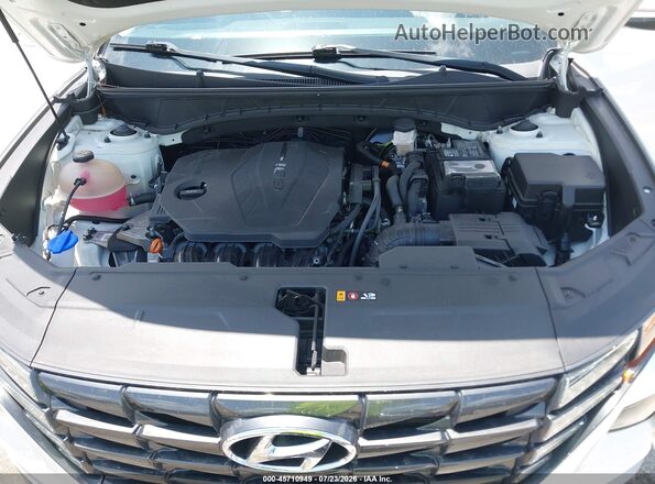 5NMJF3AE4NH025165 2022 HYUNDAI TUCSON White Widok z tyłu