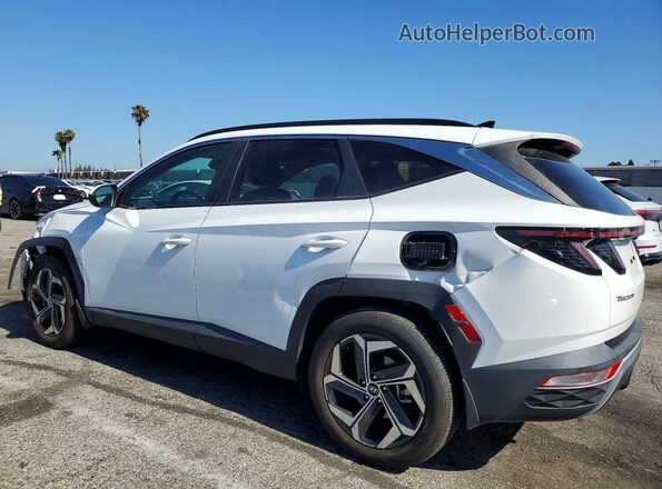 5NMJF3AE5PH263481 2023 HYUNDAI TUCSON White Tył lewy