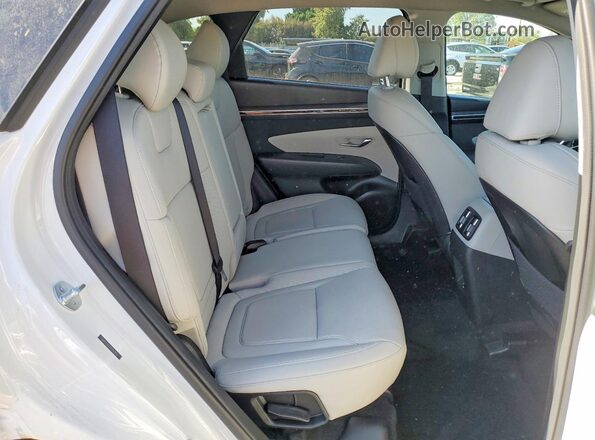 5NMJF3AE5PH263481 2023 HYUNDAI TUCSON White Widok wnętrza z tyłu