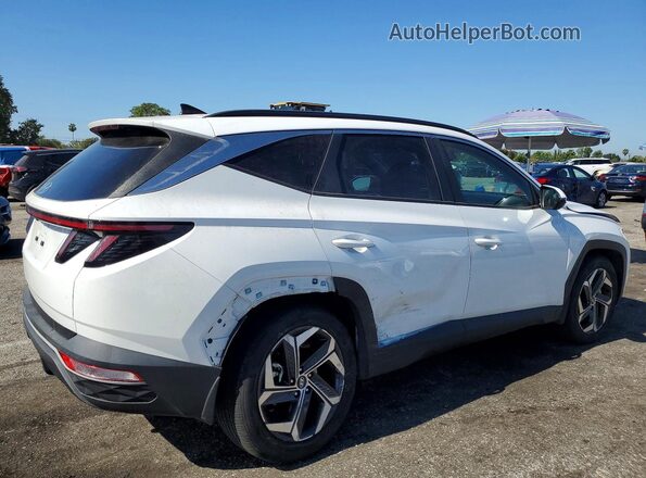 5NMJF3AE5PH263481 2023 HYUNDAI TUCSON White Tył prawy
