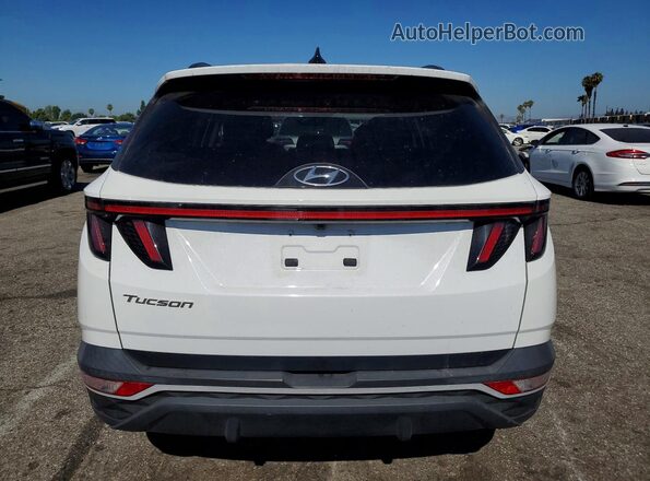 5NMJF3AE5PH263481 2023 HYUNDAI TUCSON White Widok z tyłu
