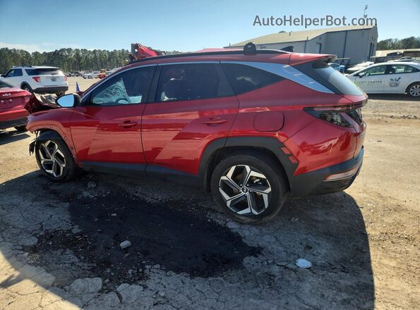 5NMJF3AE9PH205647 2023 HYUNDAI TUCSON Red Tył lewy