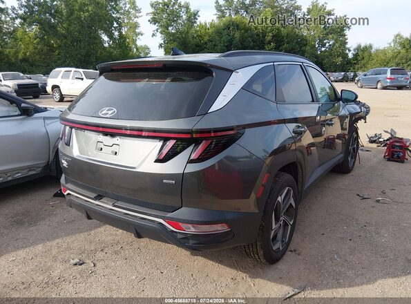 5NMJFCAE0PH233434 2023 HYUNDAI TUCSON Серый Задняя правая четверть
