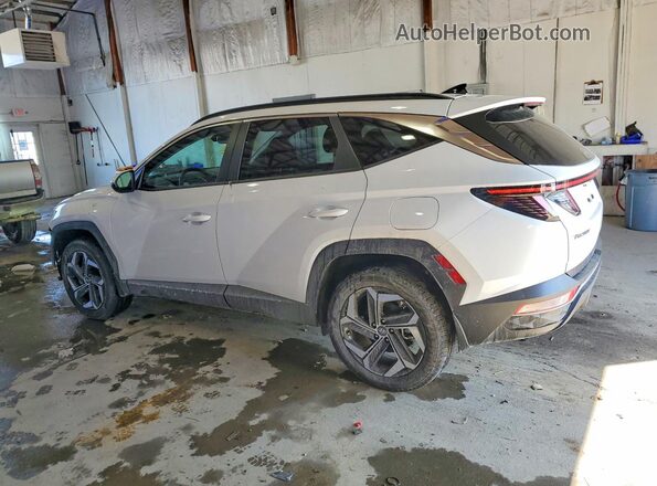 5NMJFCAE4PH245649 2023 HYUNDAI TUCSON White Trasero izquierdo