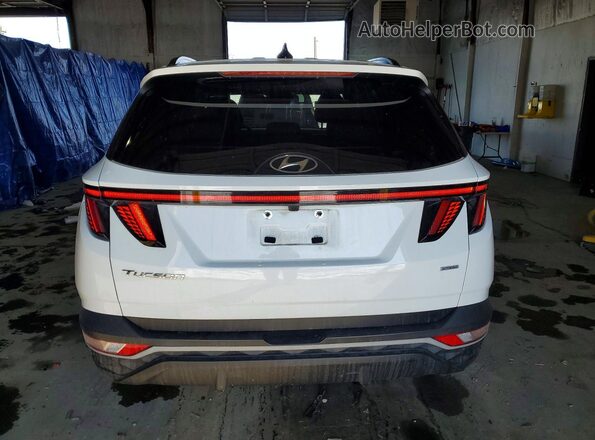 5NMJFCAE4PH245649 2023 HYUNDAI TUCSON White Vista trasera