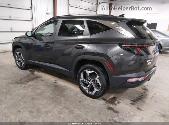 5NMJFCAE8PH247159 2023 HYUNDAI TUCSON Серый Задняя левая четверть