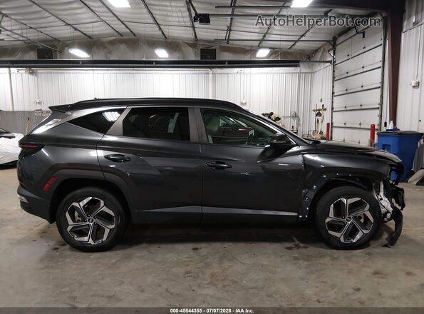 5NMJFCAE8PH247159 2023 HYUNDAI TUCSON Серый Панорамный вид салона 360°