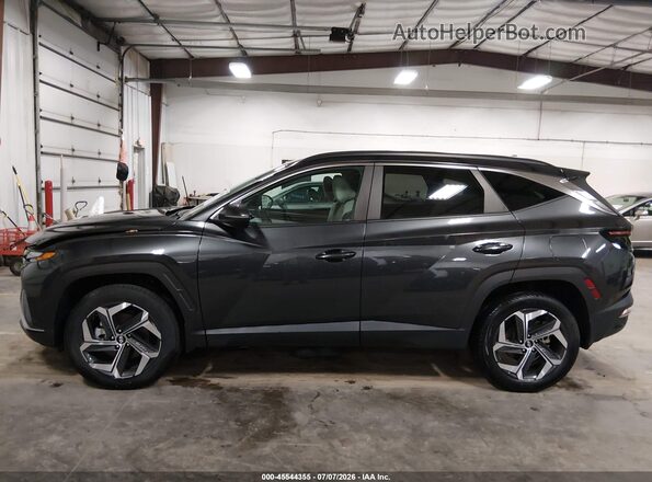 5NMJFCAE8PH247159 2023 HYUNDAI TUCSON Серый 