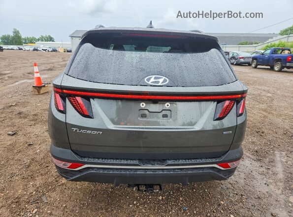 5NMJFCAE9NH157631 2022 HYUNDAI TUCSON Gray უკანა ხედი