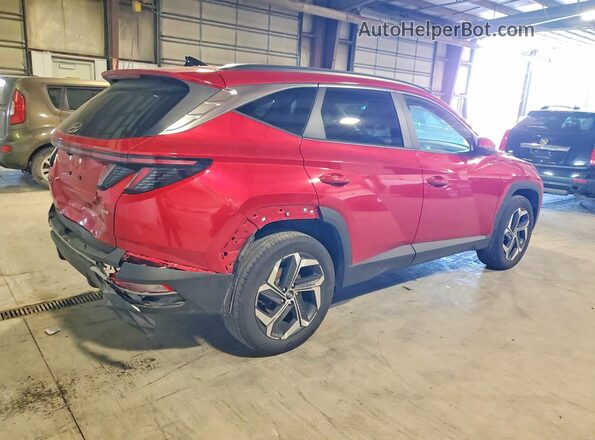 5NMJFCAE9PH171306 2023 HYUNDAI TUCSON Burgundy უკანა მარჯვენა