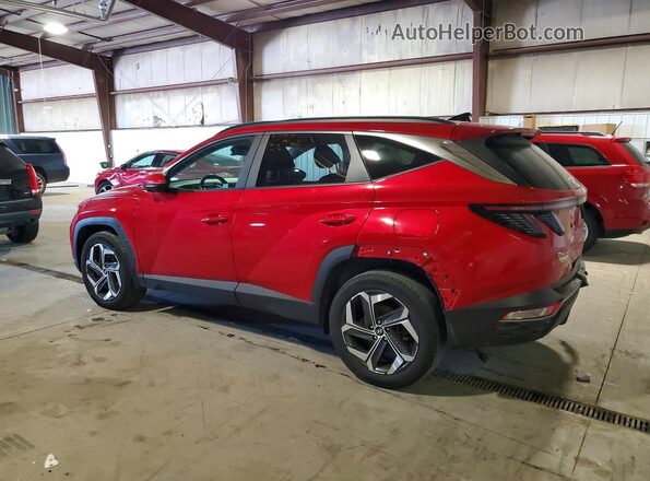 5NMJFCAE9PH171306 2023 HYUNDAI TUCSON Burgundy უკანა მარცხენა