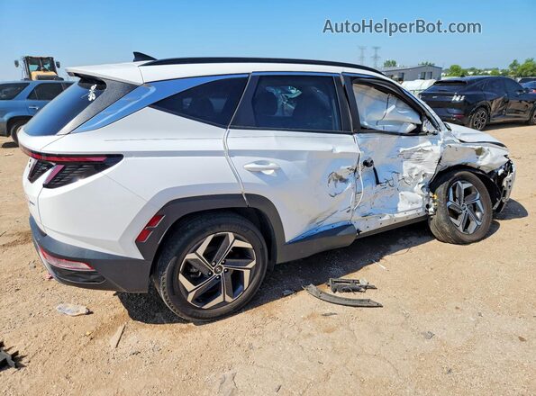 5NMJFCAE9PH228877 2023 HYUNDAI TUCSON Белый Задняя правая четверть