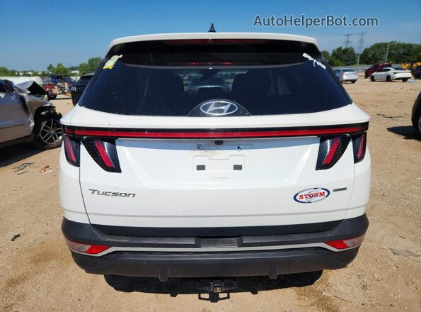 5NMJFCAE9PH228877 2023 HYUNDAI TUCSON Белый Вид сзади