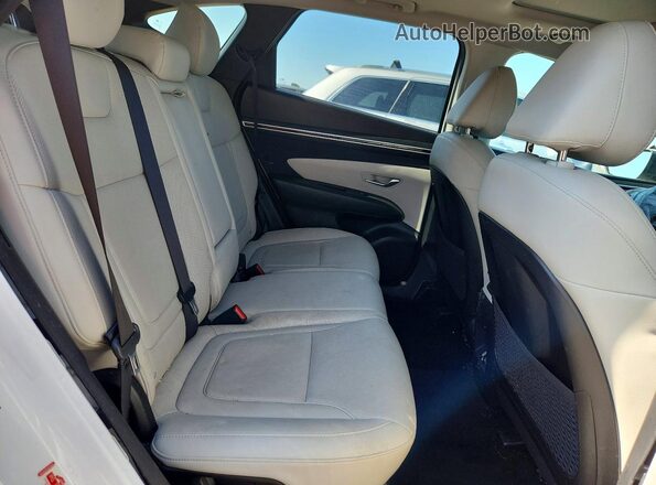 5NMJFCAE9PH228877 2023 HYUNDAI TUCSON Белый Вид задней части салона