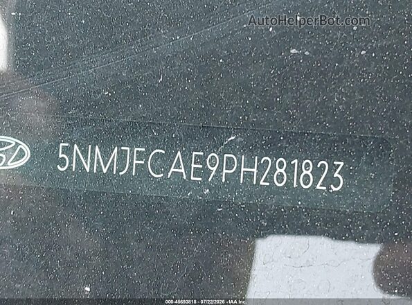 5NMJFCAE9PH281823 2023 HYUNDAI TUCSON Черный 