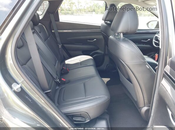 5NMJFCAEXPH206631 2023 HYUNDAI TUCSON Gray Vista de la etiqueta del VIN