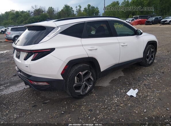 5NMJFCAEXPH274248 2023 HYUNDAI TUCSON White Հետևի աջ