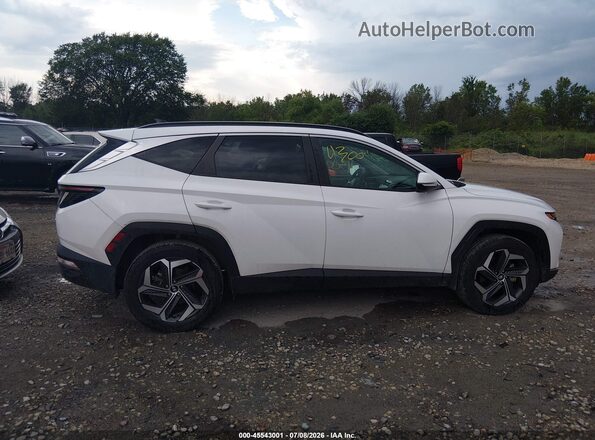 5NMJFCAEXPH274248 2023 HYUNDAI TUCSON White Սալոնի հետևի տեսք