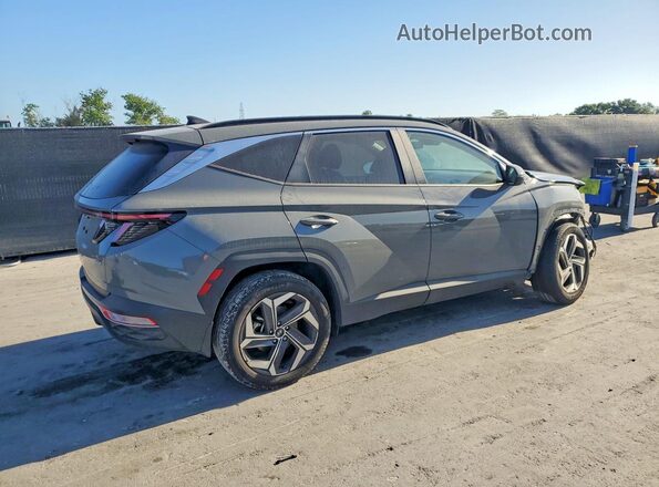 5NMJFCDE7RH406400 2024 HYUNDAI TUCSON Gray Задня права чверть