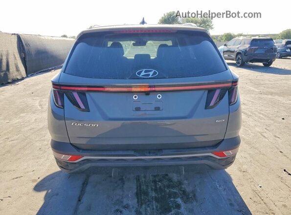 5NMJFCDE7RH406400 2024 HYUNDAI TUCSON Gray Вид ззаду