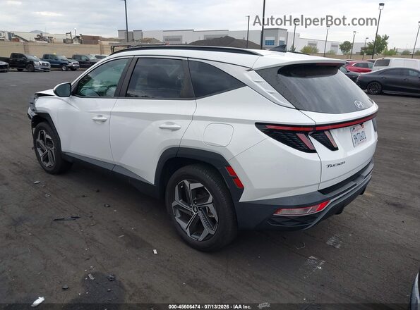 5NMJFCDEXRH296572 2024 HYUNDAI TUCSON White Հետևի ձախ