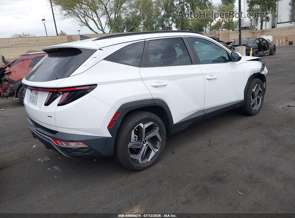 5NMJFCDEXRH296572 2024 HYUNDAI TUCSON White Հետևի աջ