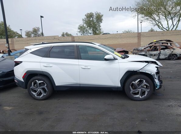 5NMJFCDEXRH296572 2024 HYUNDAI TUCSON White Սալոնի հետևի տեսք