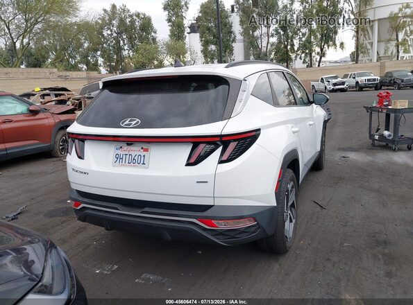 5NMJFCDEXRH296572 2024 HYUNDAI TUCSON White 