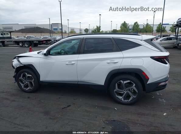 5NMJFCDEXRH296572 2024 HYUNDAI TUCSON White Սալոնի 360 աստիճան տեսք