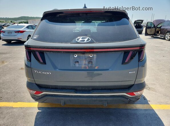 5NMJFCDEXRH304816 2024 HYUNDAI TUCSON Gray Rear view