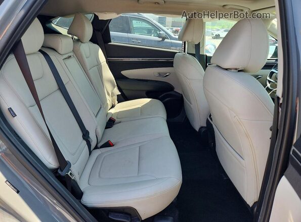 5NMJFCDEXRH304816 2024 HYUNDAI TUCSON Gray Rear interior view