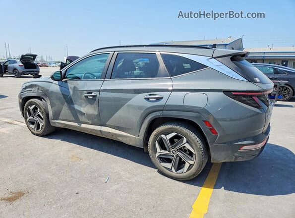 5NMJFCDEXRH304816 2024 HYUNDAI TUCSON Gray Rear left