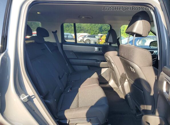 5NMP14GL2RH045537 2024 HYUNDAI SANTA Gray Սալոնի հետևի տեսք