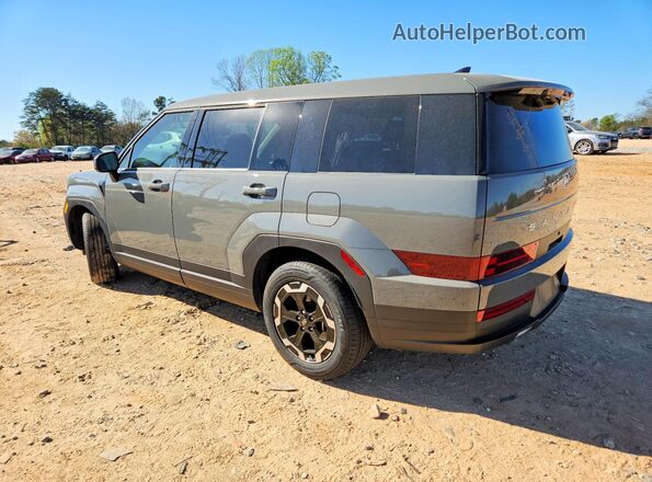 5NMP14GL7SH096120 2025 HYUNDAI SANTA Gray Հետևի ձախ