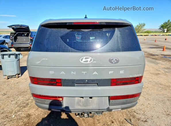 5NMP1DG1XTH076394 2026 HYUNDAI SANTA Серый Вид сзади