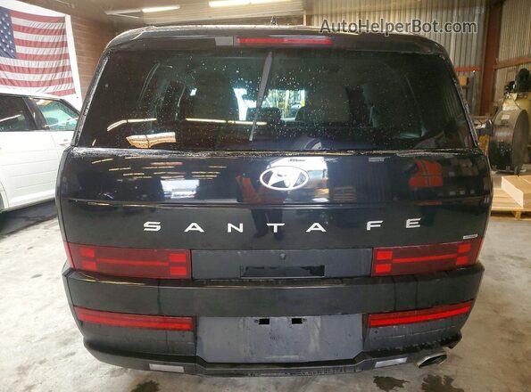 5NMP1DGL3SH121238 2025 HYUNDAI SANTA Black Widok z tyłu