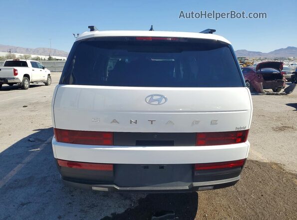 5NMP24G10SH018290 2025 HYUNDAI SANTA White Հետևի տեսք