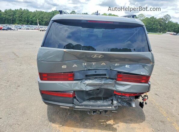 5NMP24G10SH064380 2025 HYUNDAI SANTA Серый Вид сзади